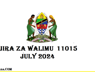 SERIKALI Yatangaza Ajira 11015 za Walimu JULY 2024 | Government Announces 11015 Teaching Jobs