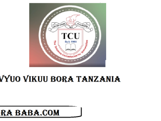 Vyuo Vikuu Bora Tanzania | Best Universities in Tanzania